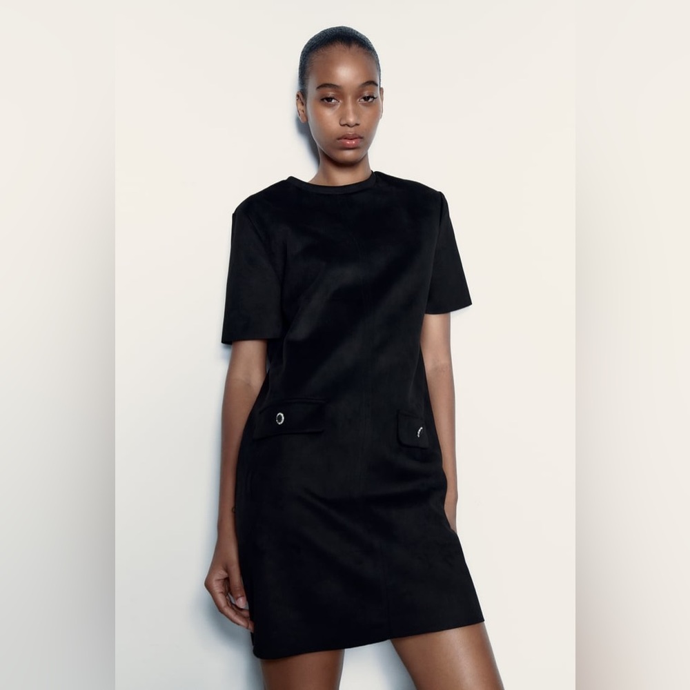 Zara Faux Suede Dress